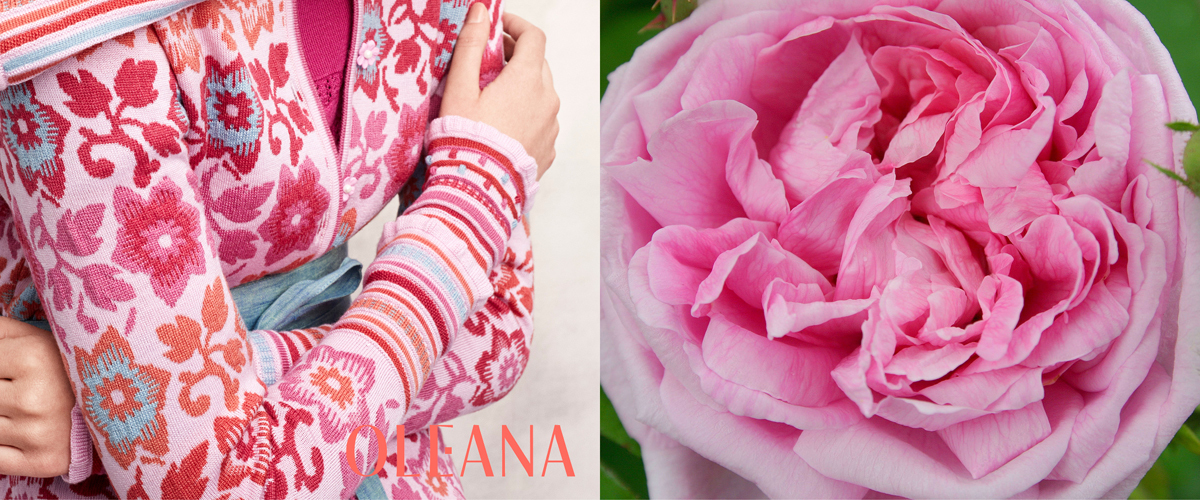 Oleana Wristlets